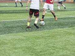 克罗地亚新,闻爆,科娃脚跟惊,立博体育,立博体育官网,立博体育官方,立博体育下载