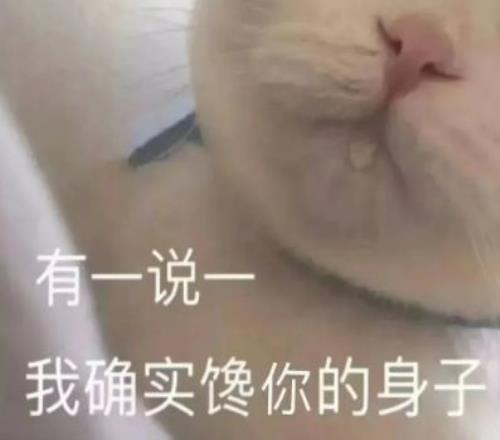 库尔背锅引,争议,科尔执教能,立博体育,立博体育官网,立博体育官方,立博体育下载