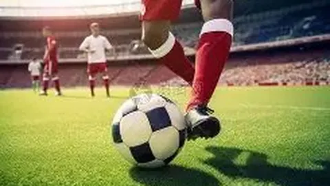 立博体育 资讯 142409 zfg