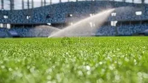 立博体育 资讯 101950 d6p